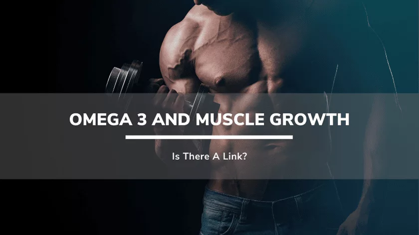 Omega 3 and Muscle Growth: Can It Help Maximize Your Gains?