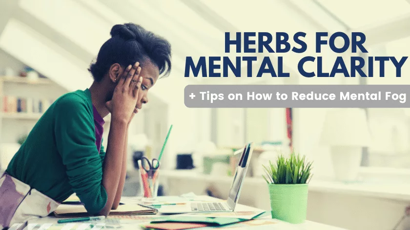 herbs-for-mental-clarity